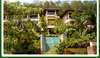 Patong Cottage 